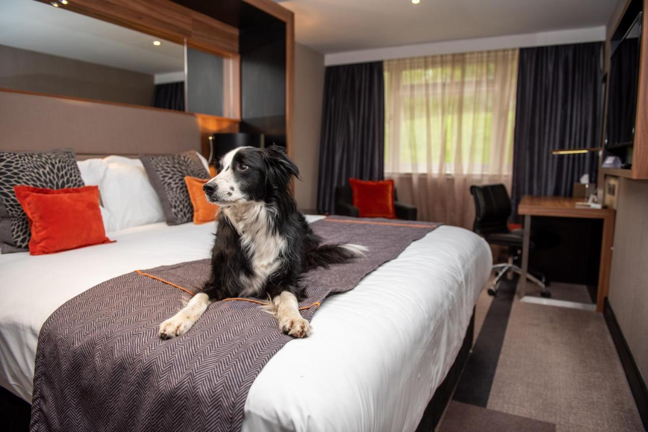 Crowne Plaza Gerrards Cross By Ihg Hotel Бекънсфийлд Екстериор снимка